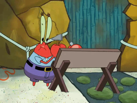 season 8 GIF by SpongeBob SquarePants