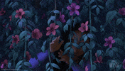 Wish Wow GIF by Walt Disney Animation Studios