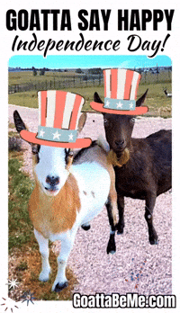 Celebrate Independence Day GIF by Goatta Be Me Goats! Adventures of Java, Toffee, Pumpkin and Cookie!