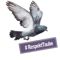 Sticker by tierschutzbund