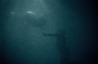 Art Love GIF by Altitude Films