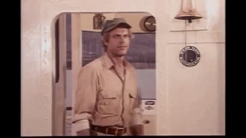 carlosbrossa giphyupload bud spencer GIF