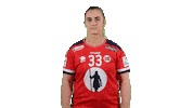 Handball Euro Sticker by EHF