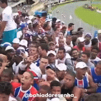 Bahiadaresenha GIF