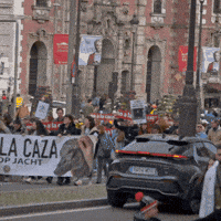 Caza Galgos GIF by Plataforma NAC