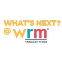 Digitalagency Whatsnext Sticker by White Rivers Media