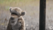 happy yas GIF by Regal Cinemas