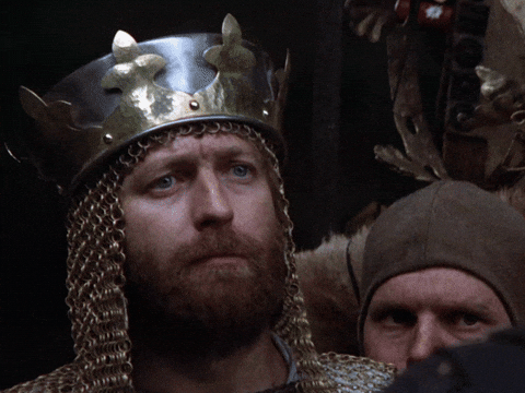 theBuddhaofGaming monty python monty python and the holy grail you make me sad GIF