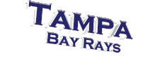 Tampa Bay Rays Baseball Sticker by GIPHY Text