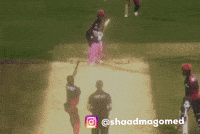 Rajasthan Royals GIF