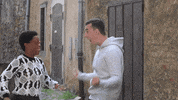 ceska_televize no ne ceskatelevize radost GIF