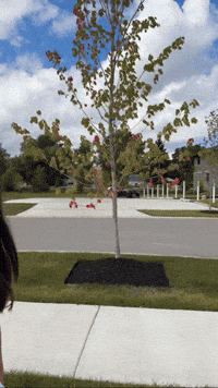 Family Time Dance GIF by Wind Sun Sky Entertainment