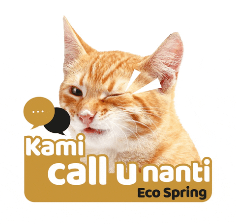 Cat Call You Later GIF by Eco Spring  at Iskandar Malaysia