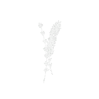Drawing Grass Sticker by Sven H. Photography