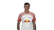 Think Rb Leipzig Sticker by Bundesliga