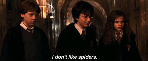 harry potter spiders GIF