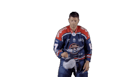 Ducs Dangers Hockey Sticker by Les Ducs d'Angers