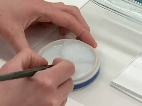 conservation museums GIF by US National Archives