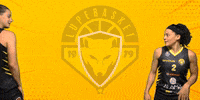 Lidija Turcinovic GIF by lupebasket