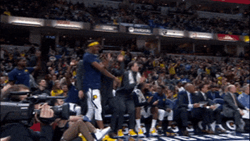 stop it indiana pacers GIF by NBA