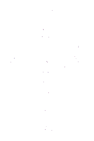 Flower Dandelion Sticker