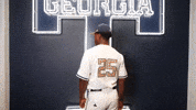 Georgia Tech Baseball GIF by Georgia Tech Yellow Jackets