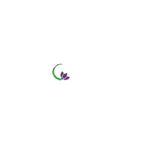 Ecuador Ec Sticker by Gadjltmuey