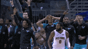 winning charlotte hornets GIF by NBA
