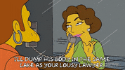 Episode 4 GIF by The Simpsons