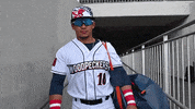 Sport Baseball GIF by Fayetteville Woodpeckers
