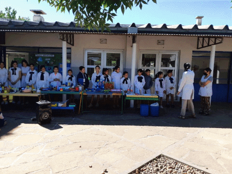 gretelbeatriz giphygifmaker GIF