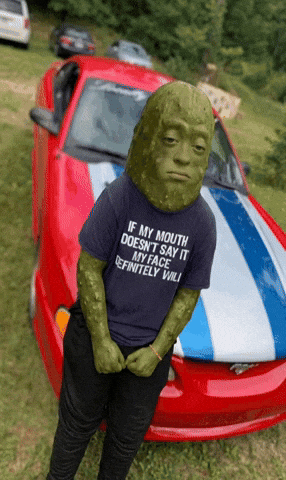 Bickle Pickle Man GIF