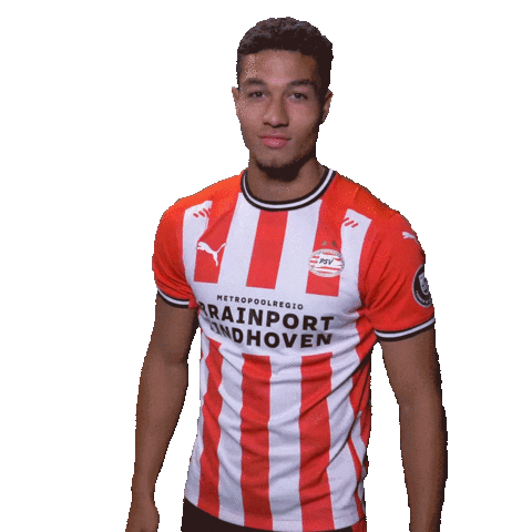 Jongpsv Sticker by PSV