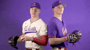 Baseball GIF by Linfield Athletics