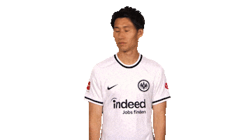 Eintracht Frankfurt No Sticker by Bundesliga