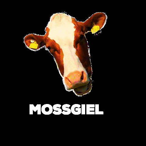 MossgielFarmMilk giphygifmaker milk cow farm GIF
