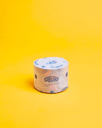 michellejarniphotographyvideo  GIF