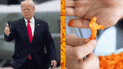 Youtube Video GIF by tyler oakley