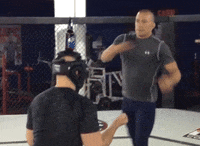 georgesrushstpierre beer cheers ufc mma GIF