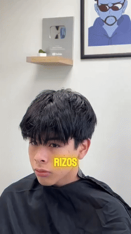 diegoedgardomenaespinoza giphyupload GIF