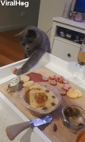 Cat Struggles To Steal Food From Charcuterie Board GIF by ViralHog