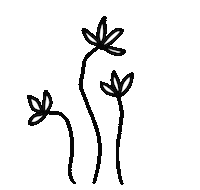 pifelv flowers pifezime pife pife zīmē Sticker