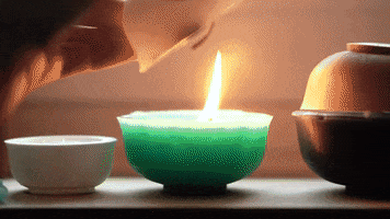 GIF by CEC_UoW