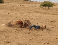 girl reverse GIF