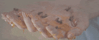 Honey Shock Me GIF by Baroness