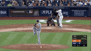 Jomboy  GIF