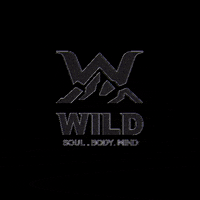 wildgymstudio wow workout gym crossfit GIF