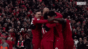 premier league love GIF by Liverpool FC
