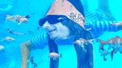 Twitch Streamer Swimming GIF by Four Rest Films