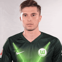 Soccer Bundesliga GIF by VfL Wolfsburg